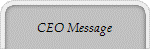 CEO Message